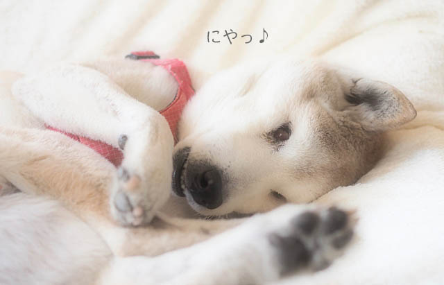 8日ブログ4