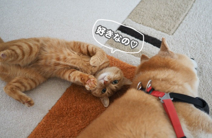 6日ブログ５