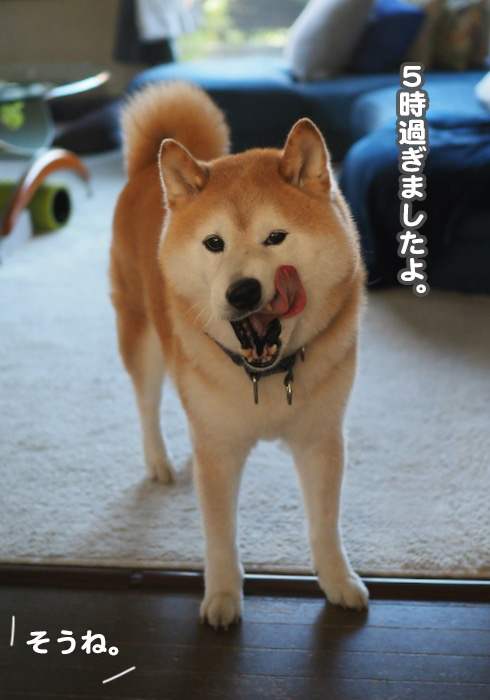 24日夕ブログ３