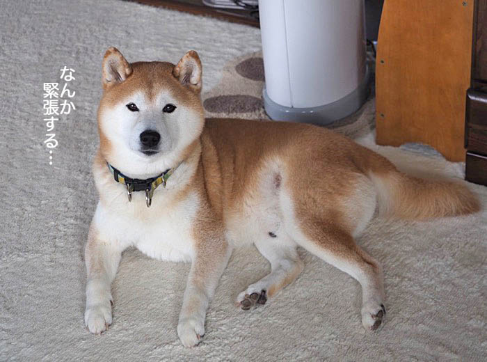 11日ブログ７
