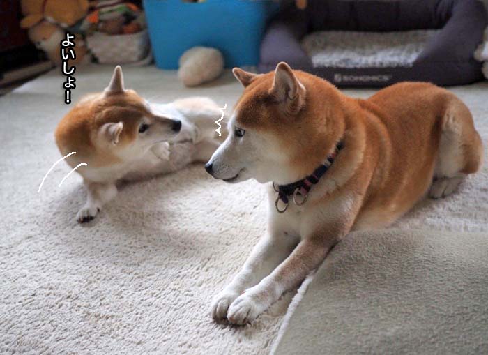 23日ブログ７