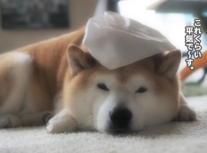 19日夜ブログ３