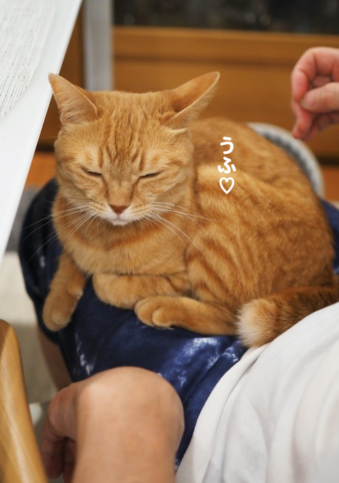 27日ブログ３