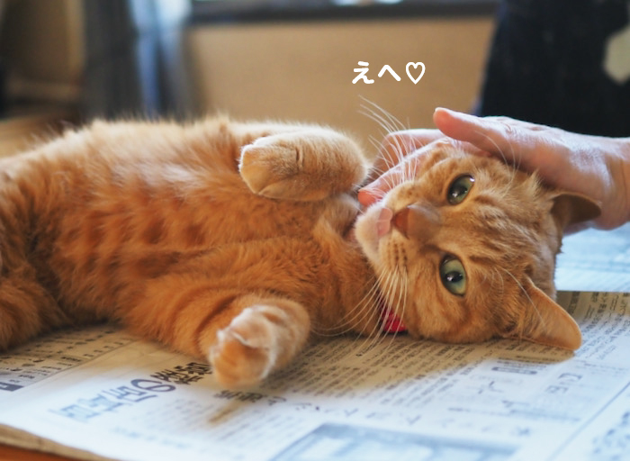 25日夕ブログ６