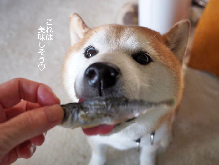 16日夕ブログ４