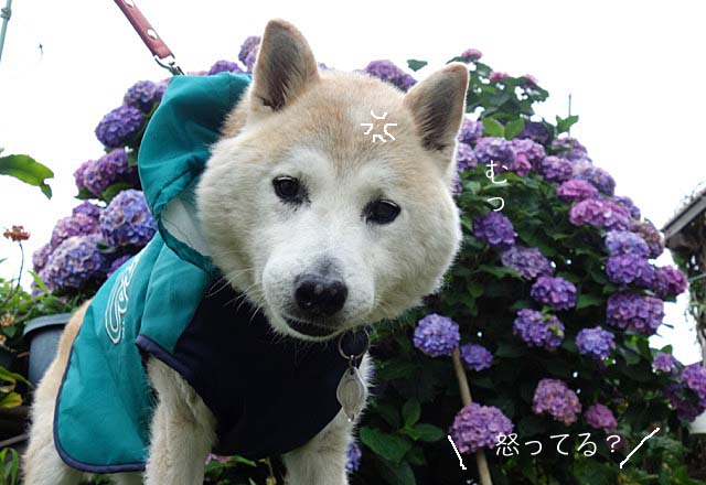 28日ブログ2