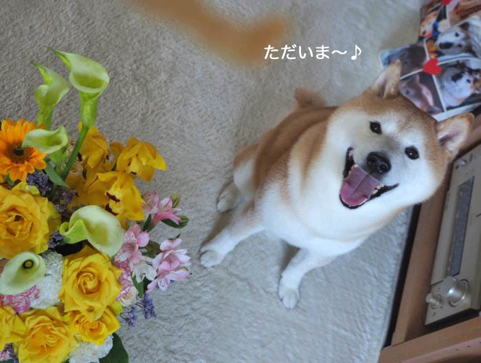 6日ブログ2
