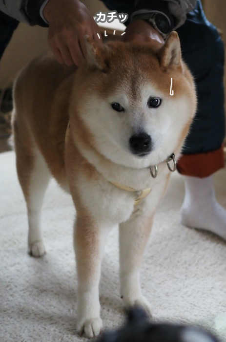 7日夕ブログ２