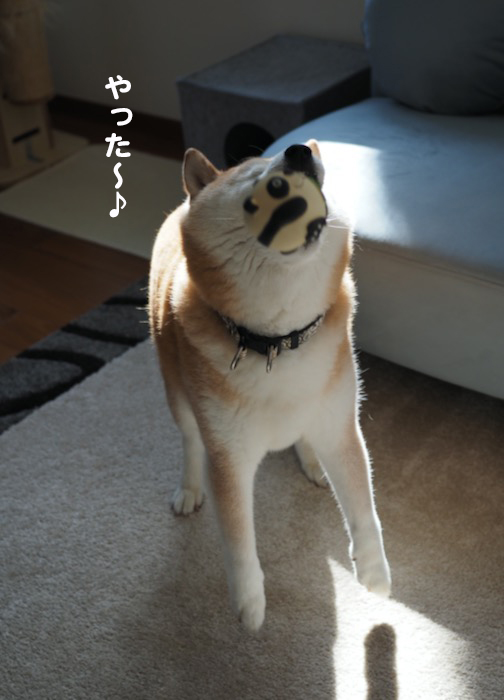 2日夕ブログ１１
