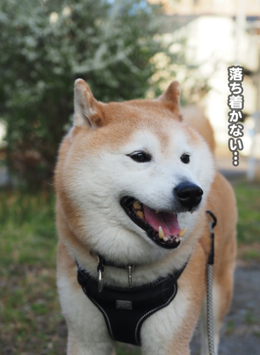 20日ブログ３