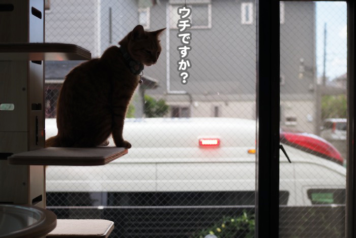 24日夕ブログ３