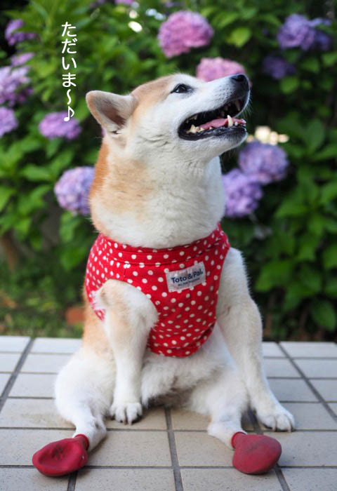 17日ブログ２