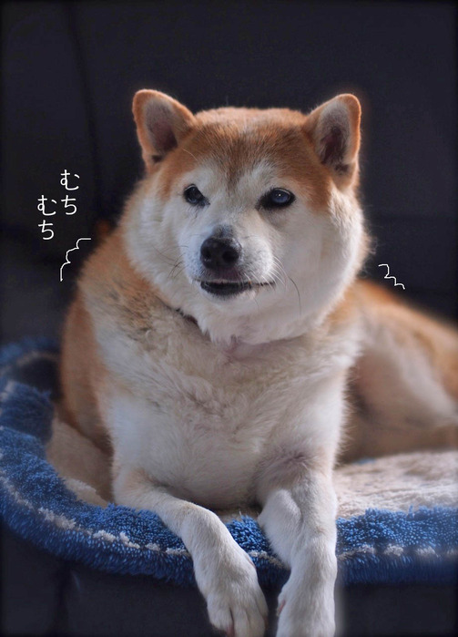 21日ブログ5