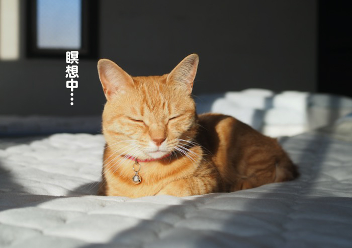 18日ブログ１