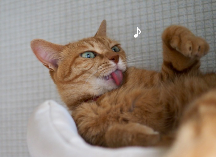5日夕ブログ８