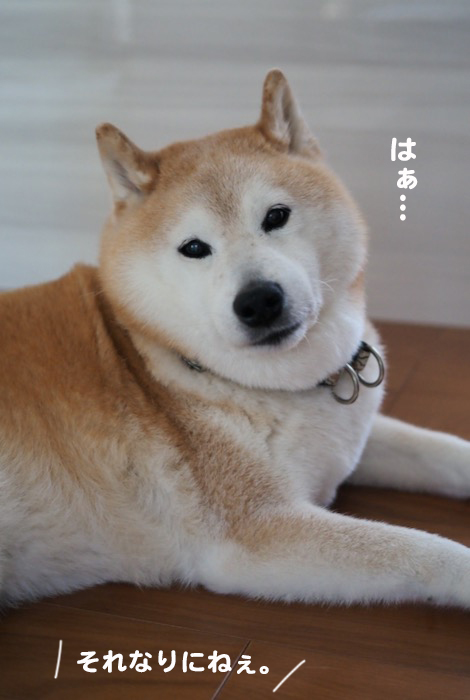 20日夕ブログ５