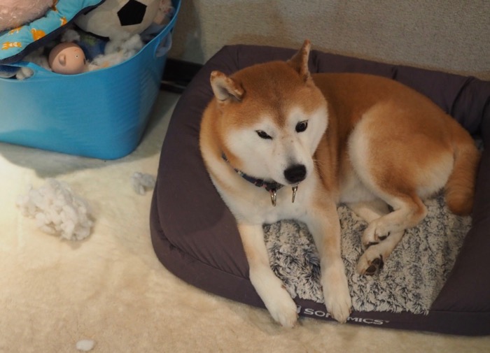 14日夕ブログ１