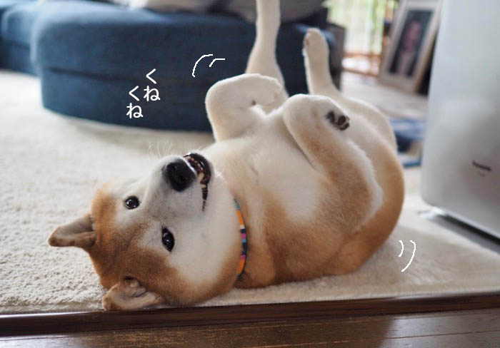 19日ブログ２