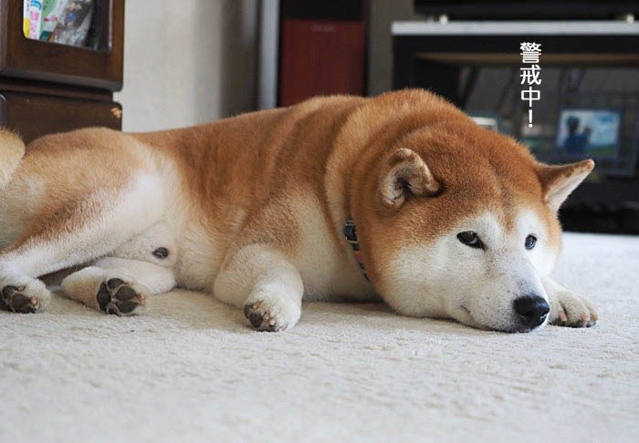 19日ブログ３