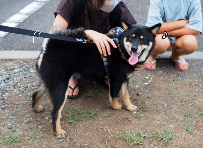 30日ブログ５