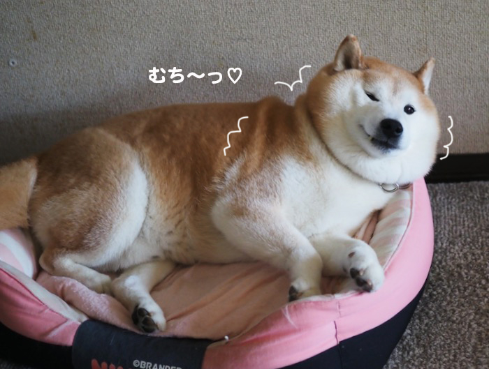 6日ブログ２
