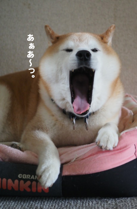 10日ブログ５