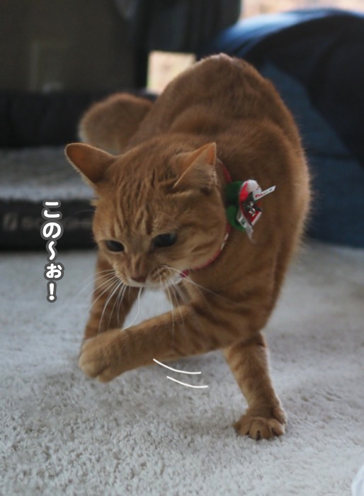 25日夕ブログ７