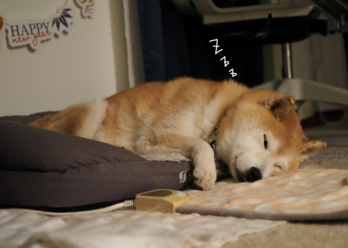 5日夜ブログ２