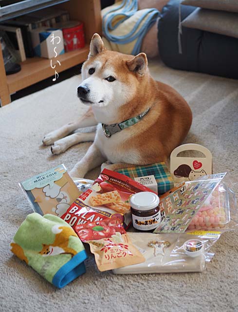 20日ブログ6