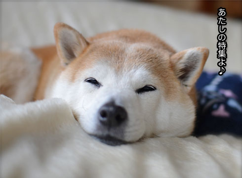 20日ブログ3.jpg