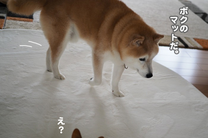 25日夕ブログ５