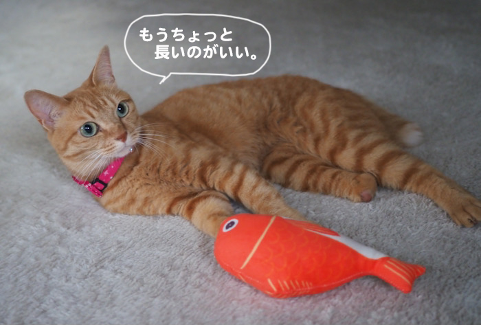 24日夕ブログ６