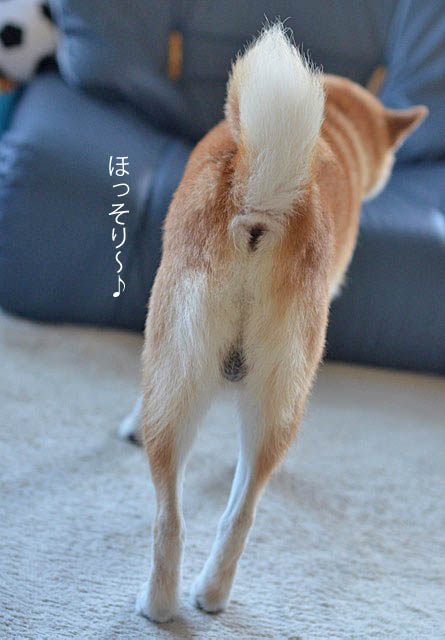 14日ブログ6