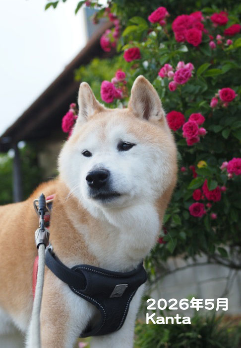 17日夕ブログ７
