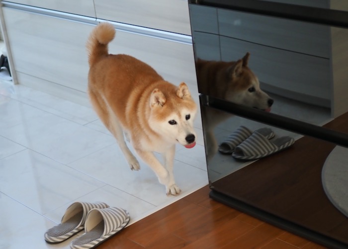 21日ブログ４