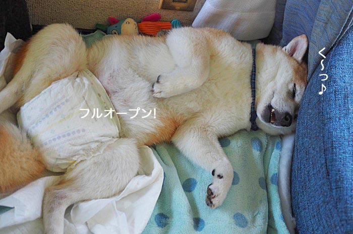 15日ブログ９