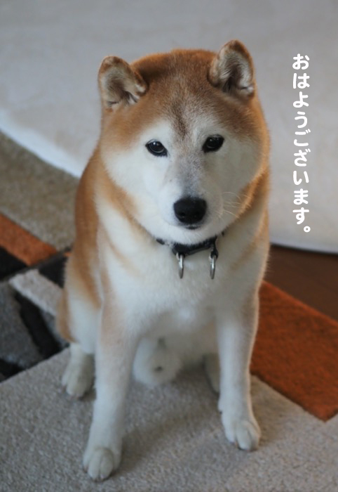 1日ブログ２