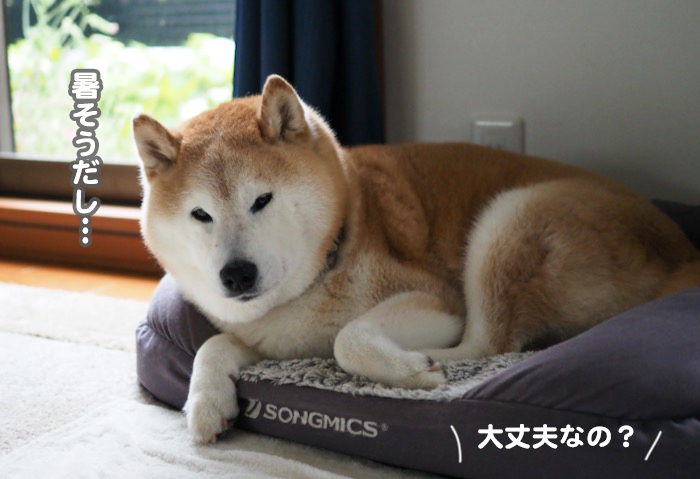 30日夕ブログ３