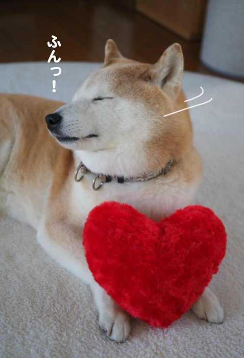 15日夕ブログ6