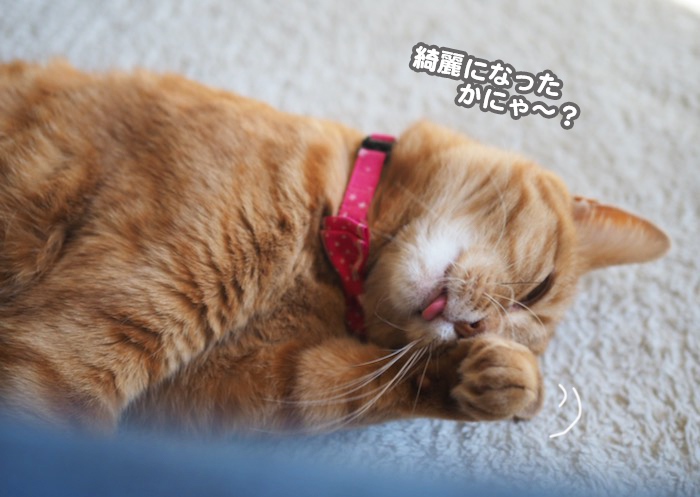 20日夕ブログ６