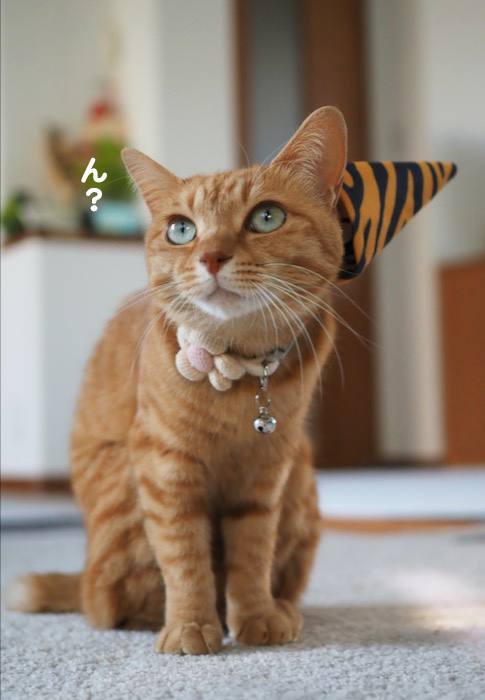 2日ブログ４