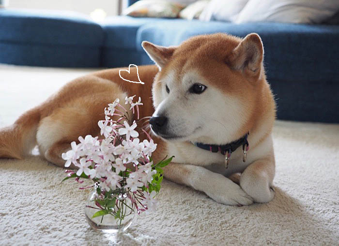 26日ブログ３
