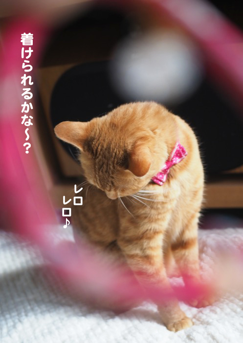 6日ブログ８