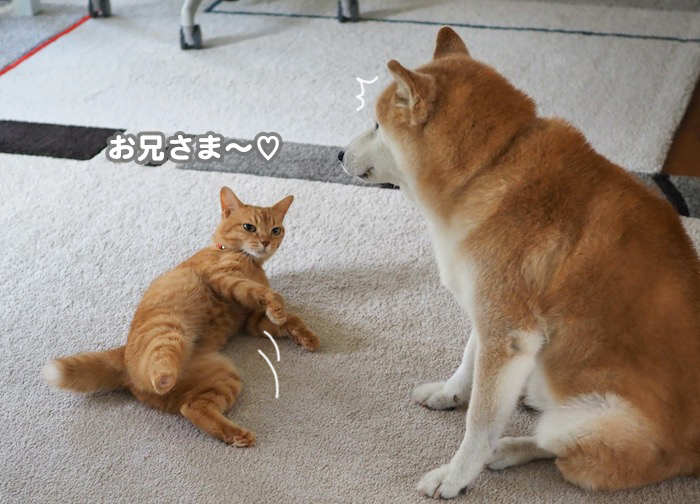 20日夕ブログ２