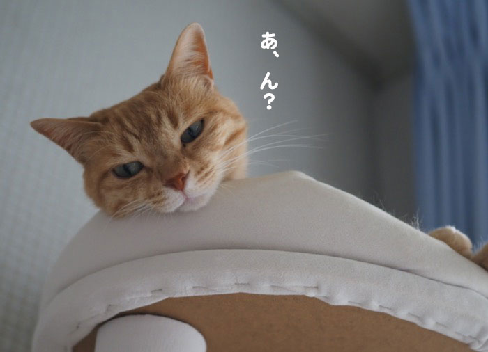 8日夕ブログ６
