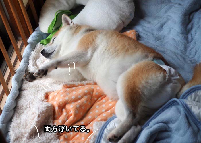 21日ブログ１０