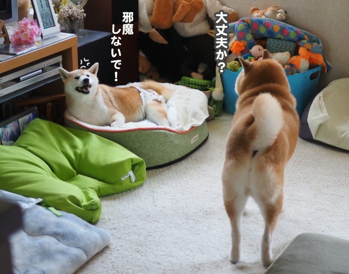 12日夕ブログ４
