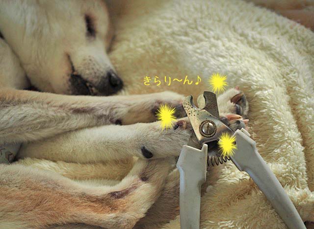 20日ブログ6