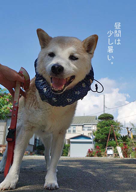 25日ブログ2