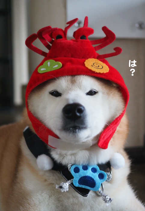 4日夕ブログ３